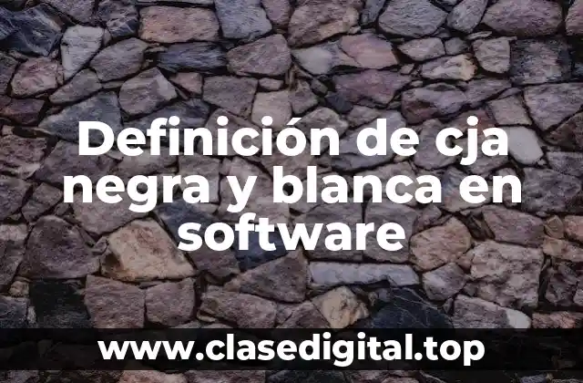 Ejemplos de cja negra y blanca en software