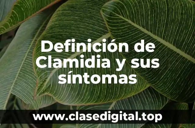 Definición de Clamidia y sus síntomas