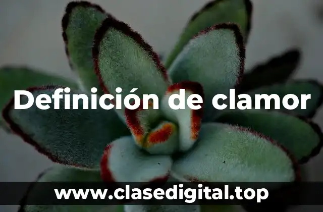 Definición de clamor