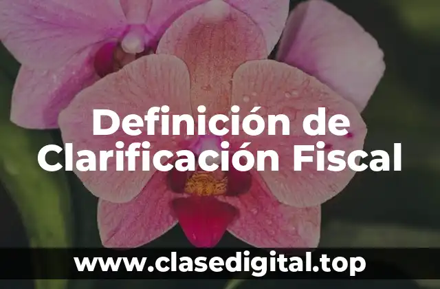 Definición de Clarificación Fiscal