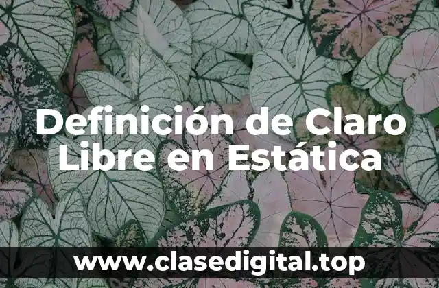 Definición Técnica de Claro Libre en Estática