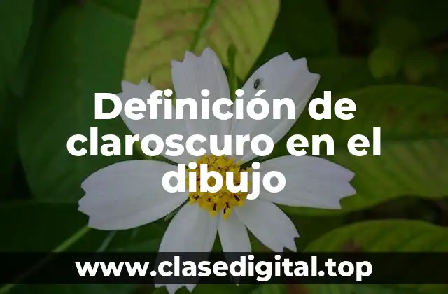 Definición de claroscuro en el dibujo