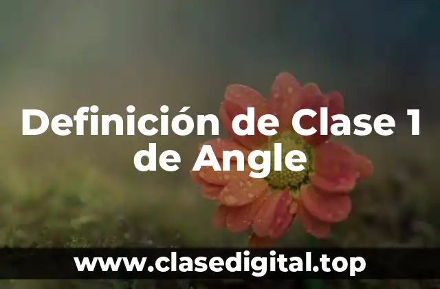 Definición de Clase 1 de Angle