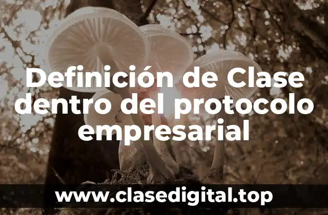 Definición de Clase dentro del protocolo empresarial