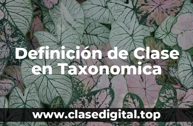 Definición de Clase en Taxonomica