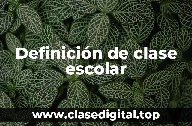 Definición de clase escolar