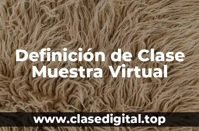 Definición de Clase Muestra Virtual
