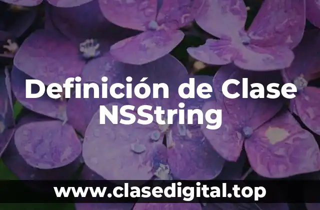 Definición de Clase NSString
