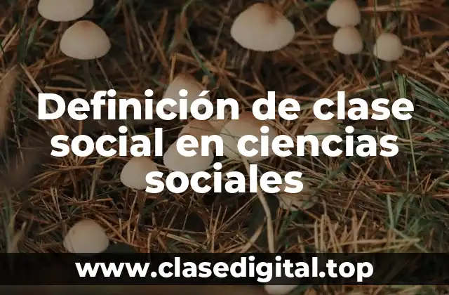 Definición técnica de clase social
