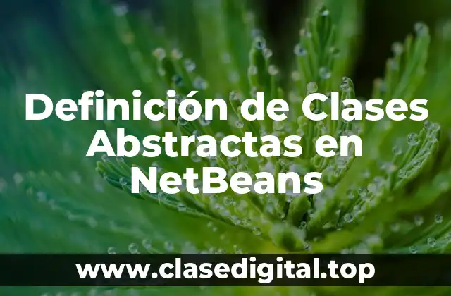 Definición de Clases Abstractas en NetBeans