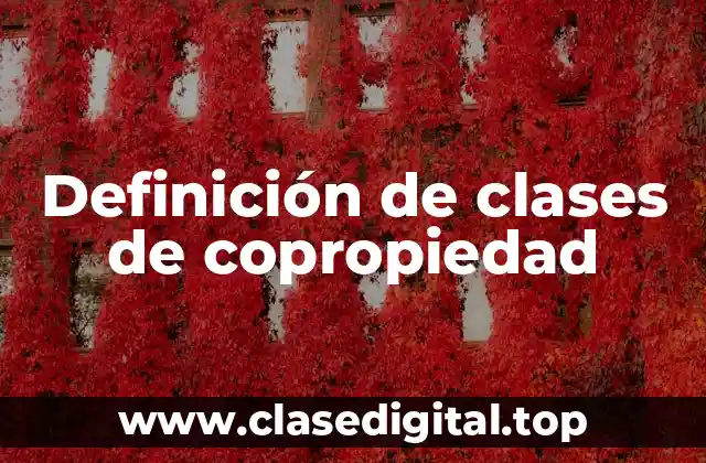 Ejemplos de clases de copropiedad