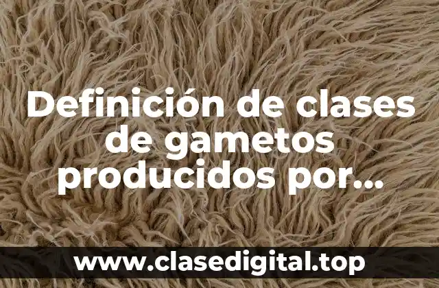 Ejemplos de clases de gametos producidos por genotipos