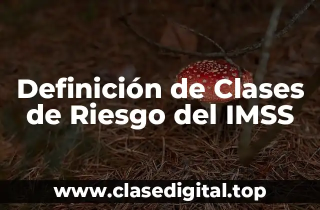 Definición de Clases de Riesgo del IMSS
