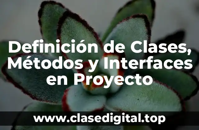 Definición de Clases, Métodos y Interfaces en Proyecto