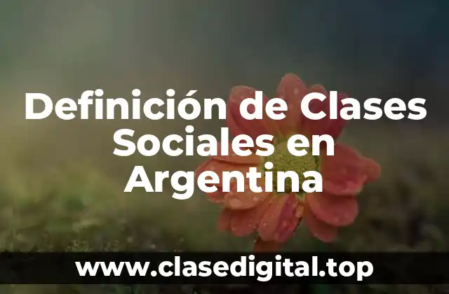 Definición de Clases Sociales en Argentina