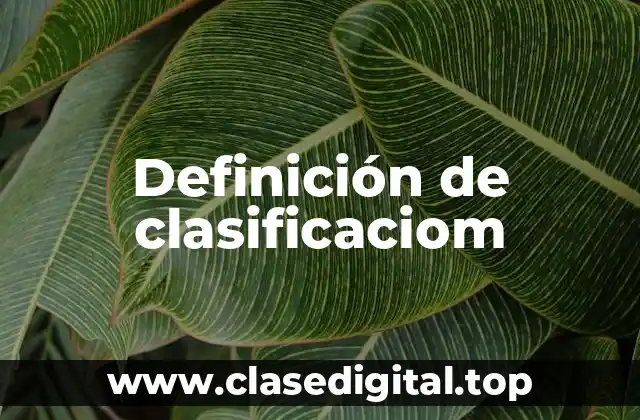 Definición de clasificaciom