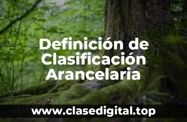 Definición de Clasificación Arancelaria