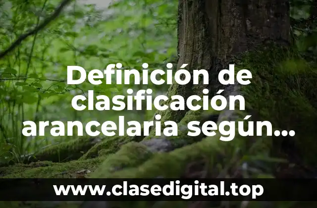 Definición de clasificación arancelaria según las reglas sección XIII