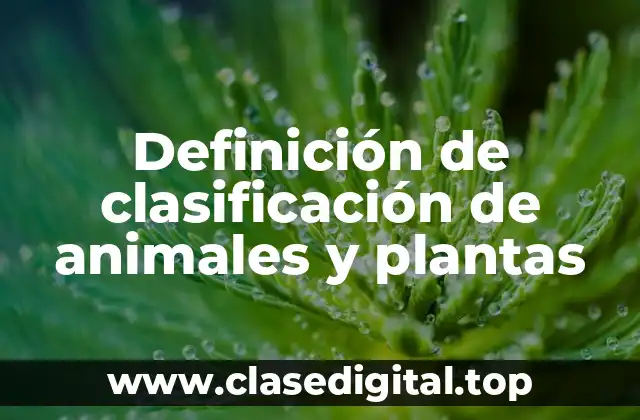 Definición de clasificación de animales y plantas