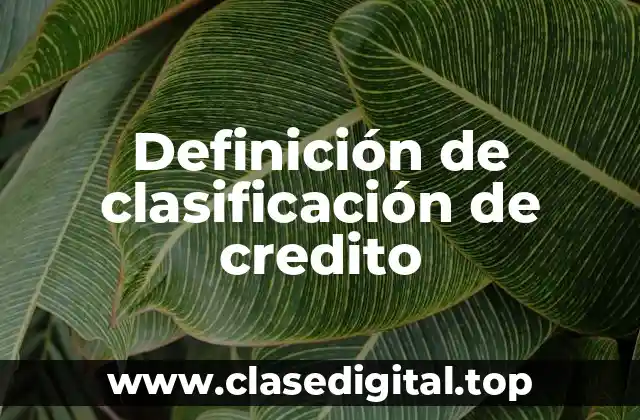 Definición de clasificación de credito