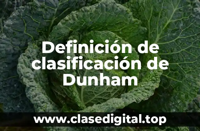 Definición de clasificación de Dunham