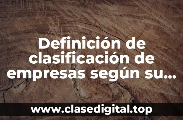 Definición de clasificación de empresas según su actividad