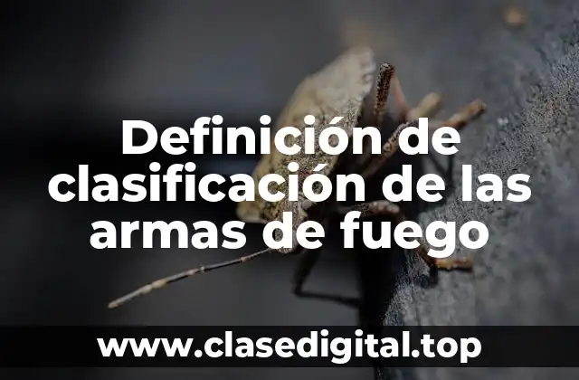 Definición de clasificación de las armas de fuego