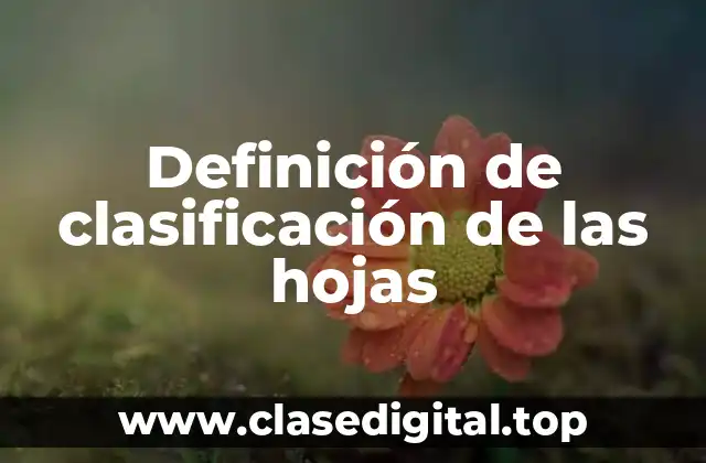 Definición de clasificación de las hojas