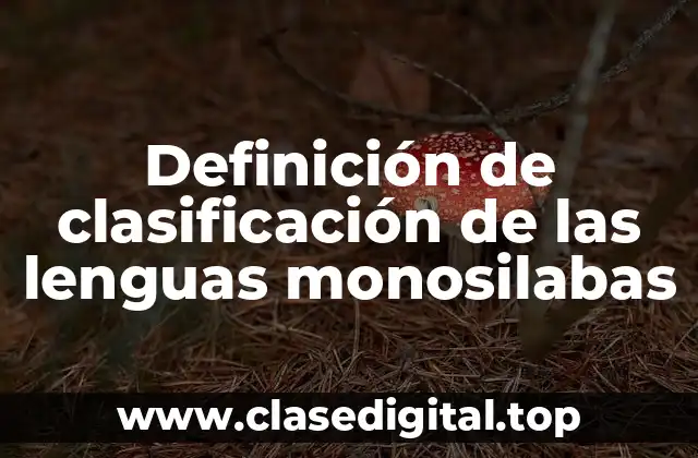 Definición de clasificación de las lenguas monosilabas