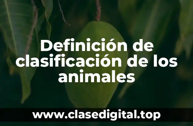 Ejemplos de clasificación de los animales