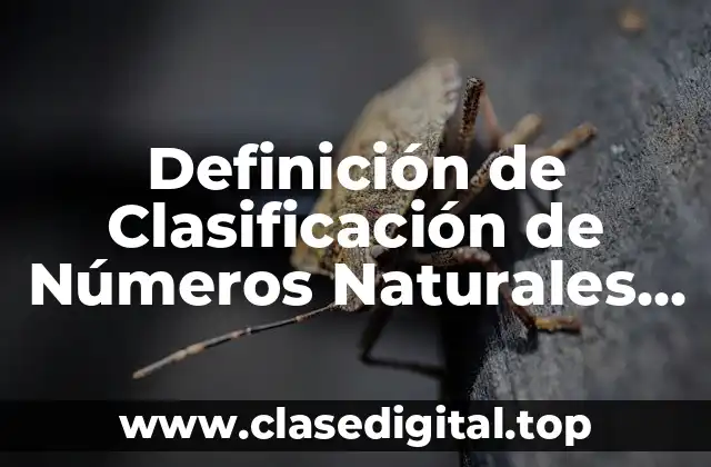 Definición de Clasificación de Números Naturales Enteros Racionales