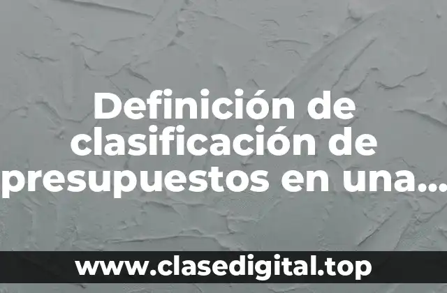 Definición de clasificación de presupuestos en una empresa