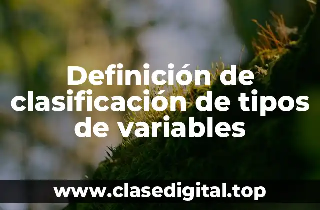 Definición de clasificación de tipos de variables