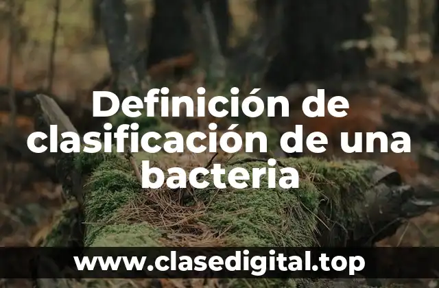 Definición de clasificación de una bacteria