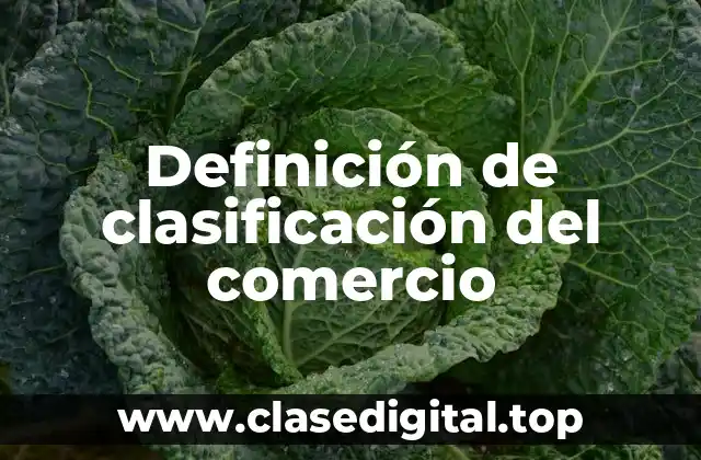 Definición de clasificación del comercio