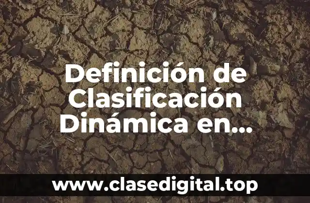 Definición de Clasificación Dinámica en Programación
