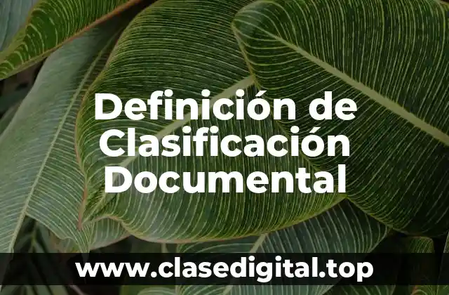 Ejemplos de Clasificación Documental