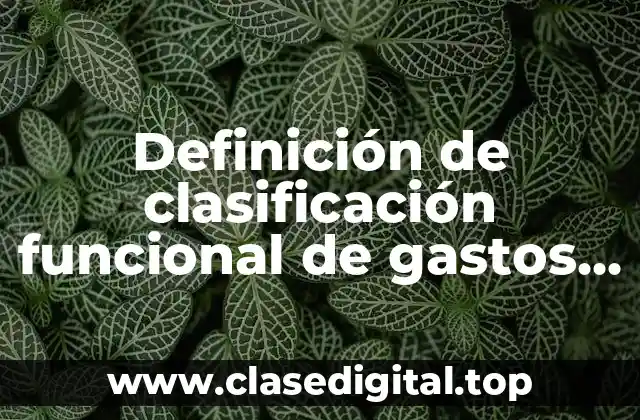 Definición de clasificación funcional de gastos de operación