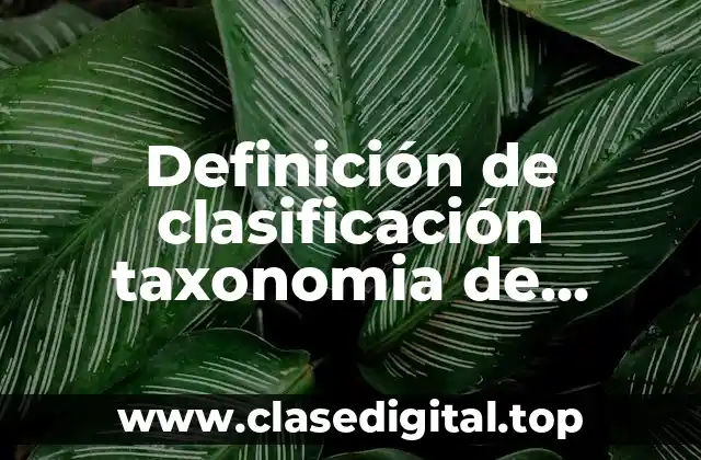 Definición de clasificación taxonomia de plantas