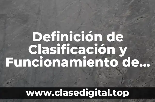 Definición de Clasificación y Funcionamiento de la Lógica