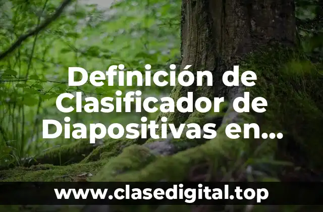 Definición de Clasificador de Diapositivas en PowerPoint