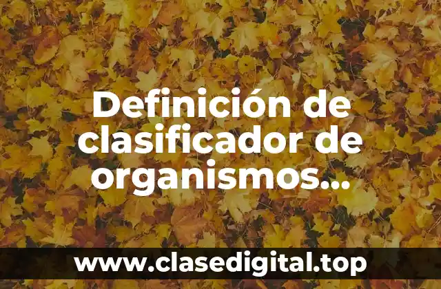 Definición de clasificador de organismos financiadores