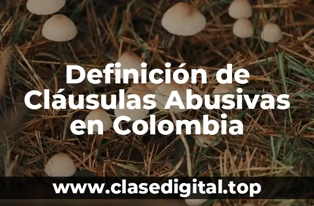 Definición de Cláusulas Abusivas en Colombia