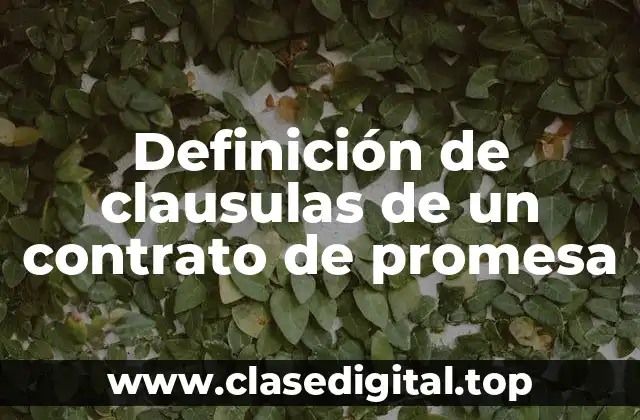 Definición de clausulas de un contrato de promesa