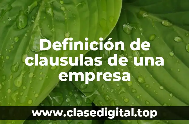 Ejemplos de clausulas de una empresa