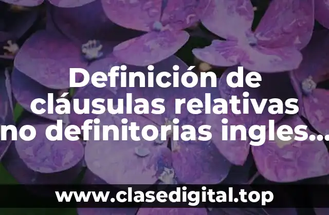 Definición de cláusulas relativas no definitorias ingles y español