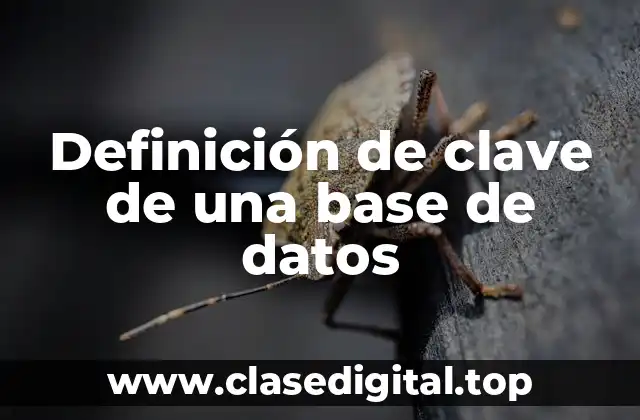 Definición de clave de una base de datos