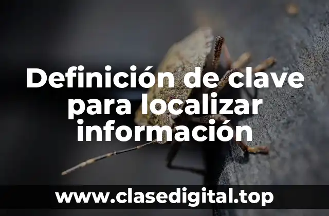 Definición de clave para localizar información