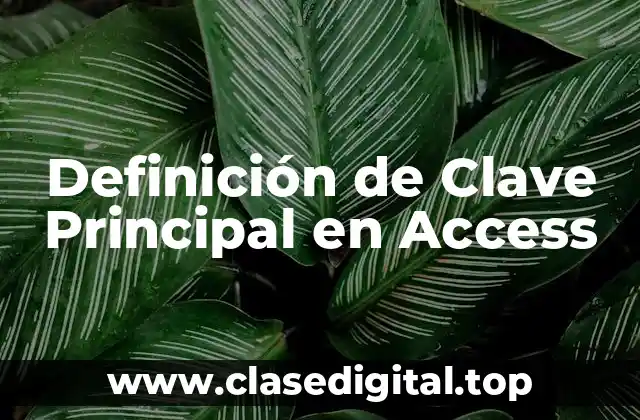 Definición de Clave Principal en Access