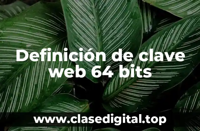 Definición de clave web 64 bits